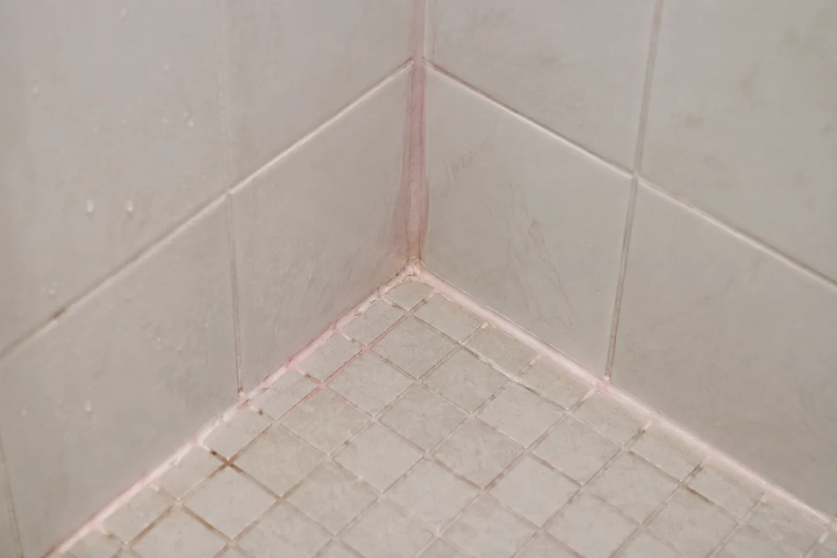 Pink buildup in the tiled corner of a Florida bathroom shower